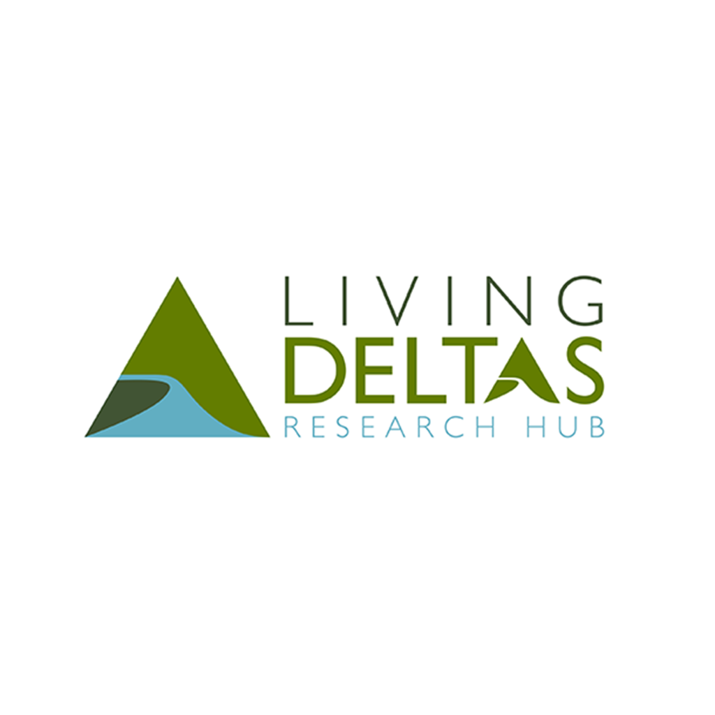 Living Details Research Hub